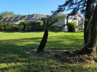 Tommie B.'s Lawn Mowing service result
