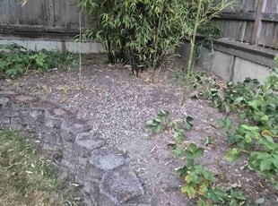 Cleanups by Jason Van hardenberg for Clara K. in Mukilteo, WA
