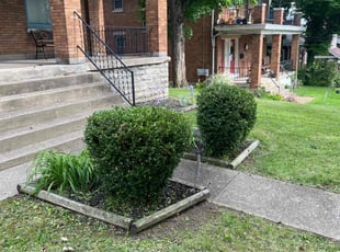 Bush Trimming by Brandon Wellman for Annie M. in Cincinnati, OH