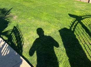 Lesley W.'s Lawn Service service result