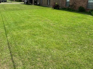 Elizabeth E.'s Lawn Service service result