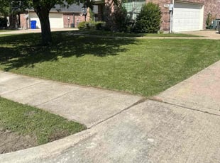 Shane K.'s Lawn Service service result