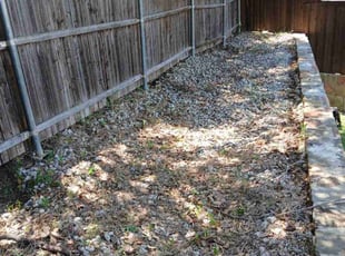 Weeding by Valente Alvarado for Joe P. in The Colony, TX