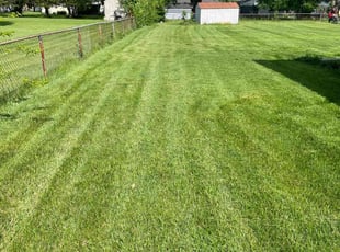 Irene A.'s Grass Cutting service result