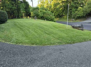 Dawn C.'s Lawn Service service result