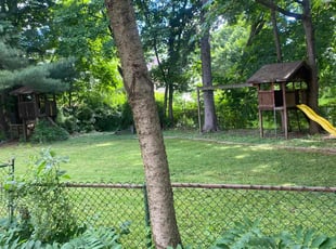 Ira M.'s Grass Cutting service result