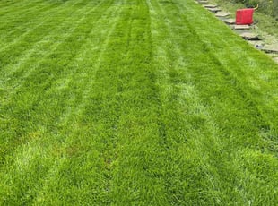 Teddy K.'s Lawn Care service result