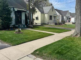 Jamar C.'s Yard Cutting service result