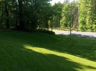 Dan B.'s Lawn Service service result