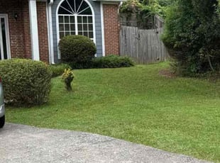 Bush Trimming by Clay Nurse for Mylanah A. in Smyrna, GA