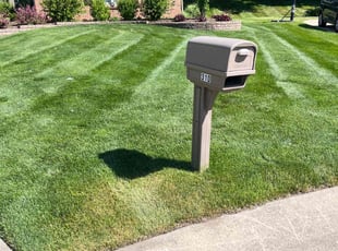 Sheila J.'s Lawn Mowing service result