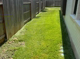 Peter t.'s Lawn Care service result