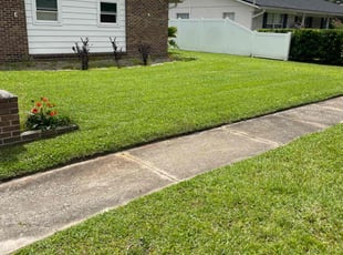 Korey o.'s Lawn Service service result