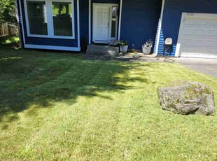 Yashpal S.'s Lawn Care service result