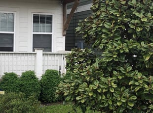 Weeding by Christopher Darnell for Deborah U. in Nashville, TN
