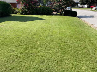 Lanita M.'s Lawn Service service result
