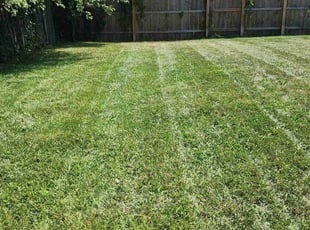 Ronni D.'s Lawn Care service result