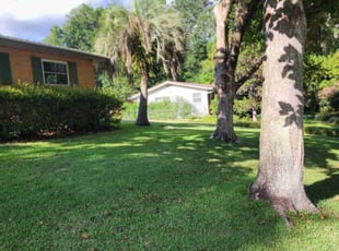 Istvan V.'s Lawn Maintenance service result