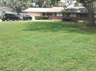 Michael M.'s Grass Cutting service result