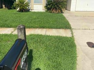 Jordan J.'s Yard Cutting service result