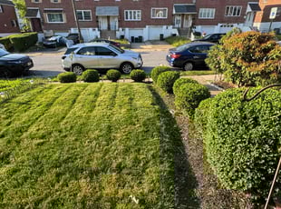 Cindy Y.'s Lawn Service service result