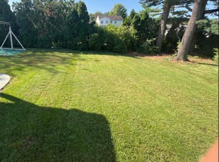 Jeffrey S.'s Lawn Mowing service result
