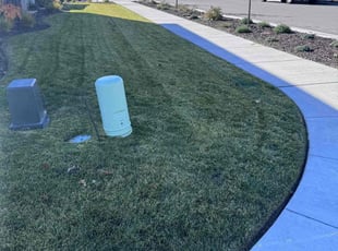 Dawn M.'s Lawn Mowing service result