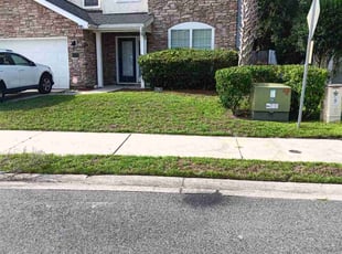 Bush Trimming by Horace Swann for Eve C. in Jacksonville, FL