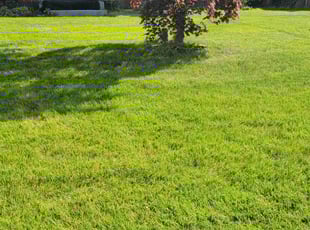 Michael G.'s Lawn Care service result