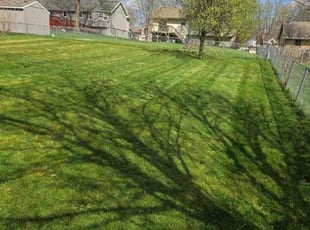 Latasha J.'s Lawn Service service result