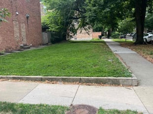 Ricardo S.'s Lawn Care service result