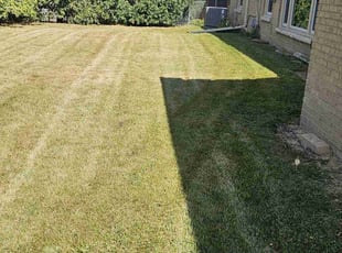 Carol H.'s Grass Cutting service result