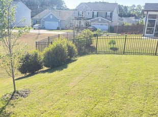 Keeley B.'s Lawn Mowing service result