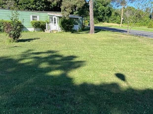 Donna T.'s Lawn Care service result