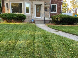 Regina R.'s Lawn Mowing service result