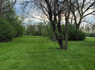 Aida R.'s Lawn Service service result