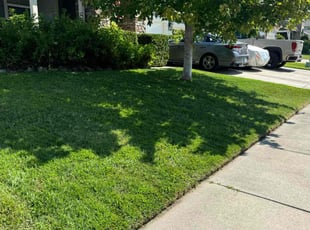 David H.'s Yard Cutting service result