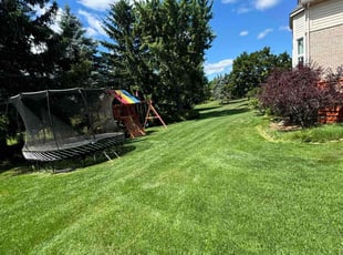 Christopher D.'s Lawn Care service result