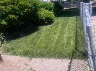 Shawna B.'s Lawn Service service result