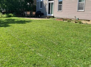 Tim M.'s Grass Cutting service result