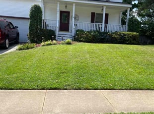 Loquin B.'s Lawn Service service result