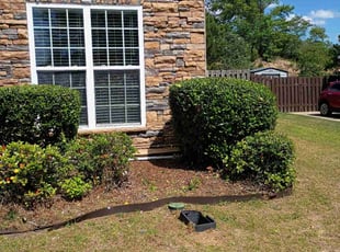 Bush Trimming by Thomas Chalker for Nathan H. in Augusta, GA