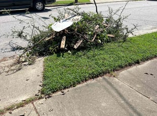 Cleanups by DeShawn Piggee for Stephanie V. in Newport News, VA