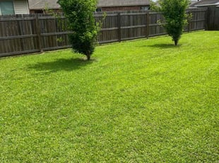 Shelia S.'s Yard Cutting service result
