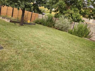 Evette M.'s Lawn Service service result