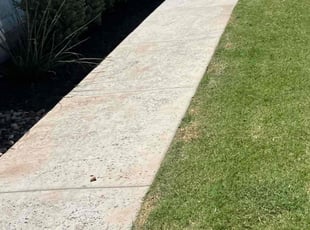 Robert S.'s Lawn Care service result