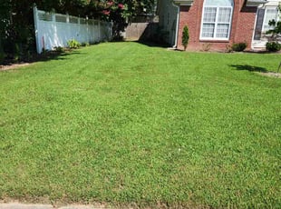 Hyunhye H.'s Lawn Care service result