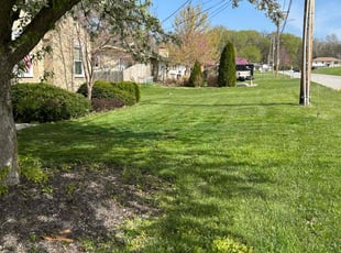 Linda W.'s Lawn Care service result