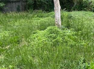 Cleanups by Caree Keith for Marva M. in Upper Marlboro, MD