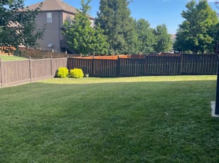 Dan H.'s Lawn Service service result